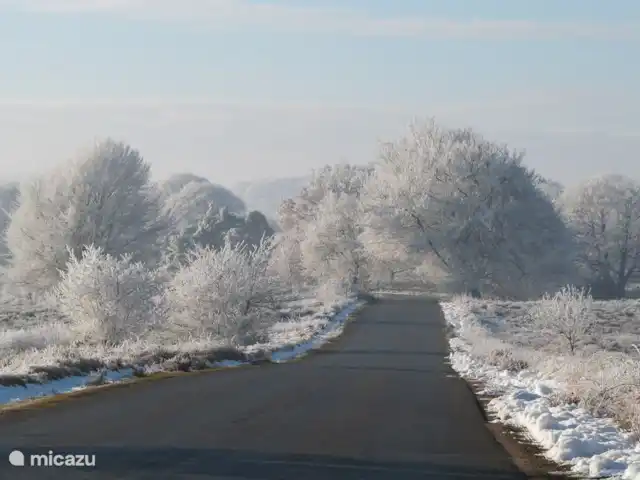 Location de Vacances Pays-Bas, Overijssel, Holten, maison de vacances - Boschhuys Holterberg la Loge la réserve naturelle Sallandse Heuvelrug dans la cour