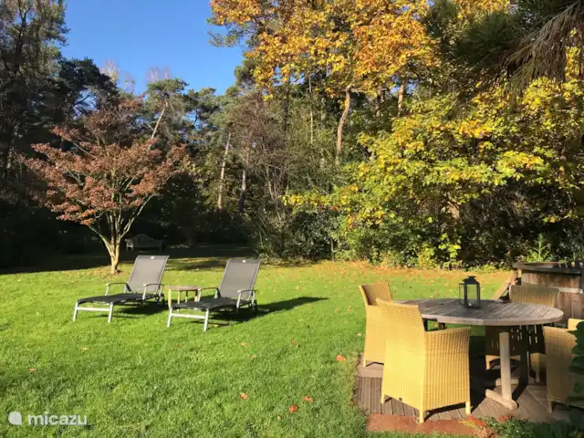 Location de Vacances Pays-Bas, Overijssel, Holten, maison de vacances - Boschhuys Holterberg la Loge Automne, vue depuis le Lodge