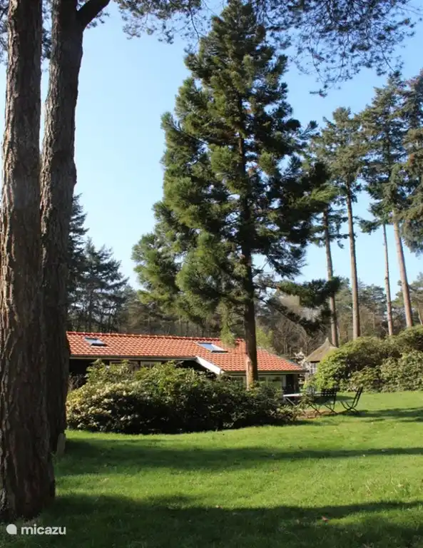 't Boschhuys de Holterberg.