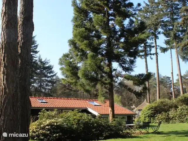 Location de Vacances Pays-Bas, Overijssel, Holten, maison de vacances - Boschhuys Holterberg la Loge 't Boschhuys de Holterberg.