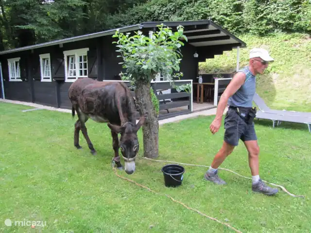 Les Moulins au bord du lac | France, Nièvre, Corancy - chalet randonneurs accompagnés d'ânes