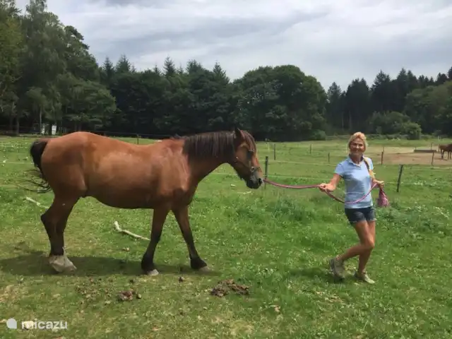 Les Moulins au bord du lac | France, Nièvre, Corancy - chalet équitation au centre équestre de Chateau Chinon