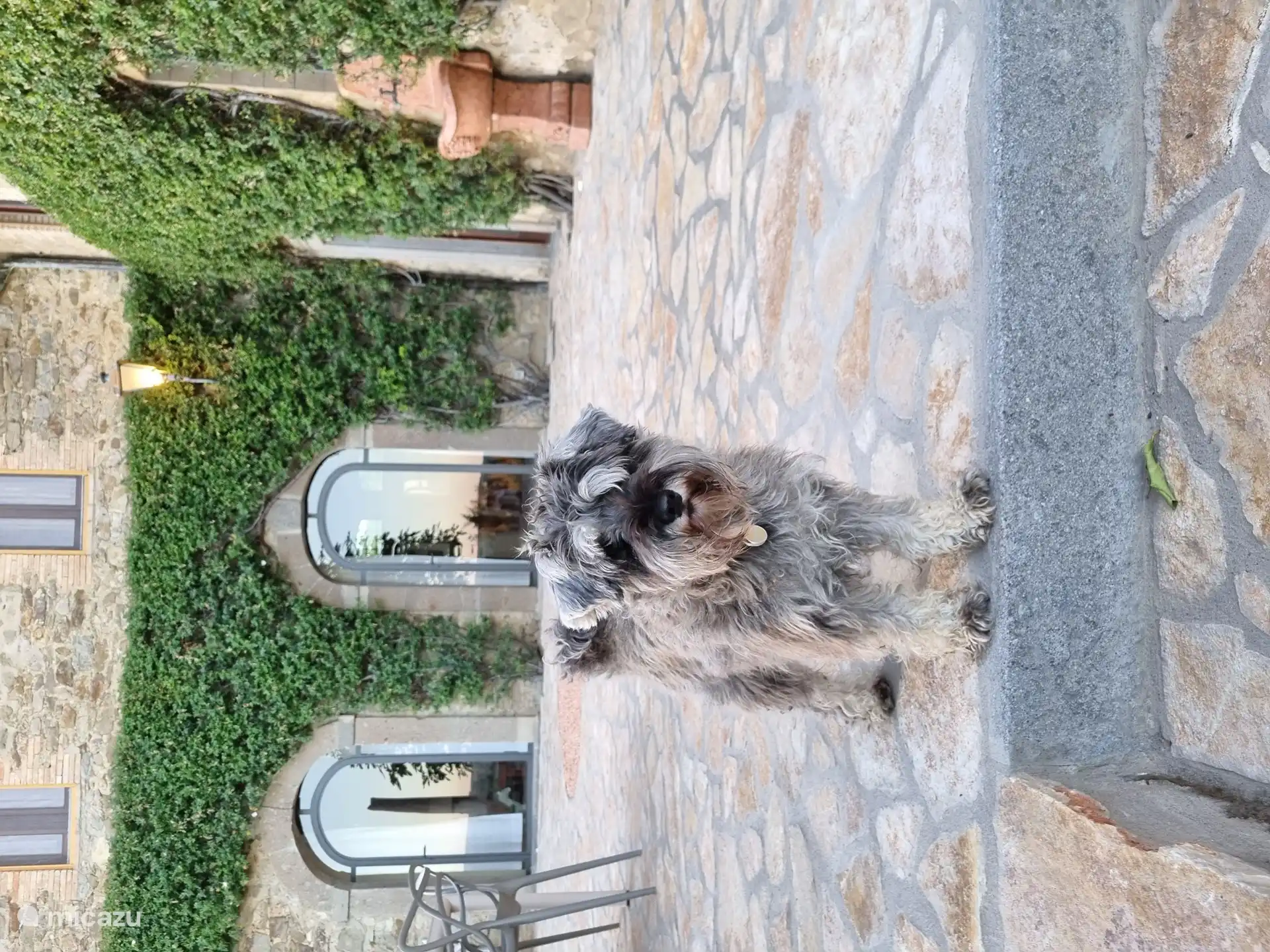 This is also completely happy with the new terrace