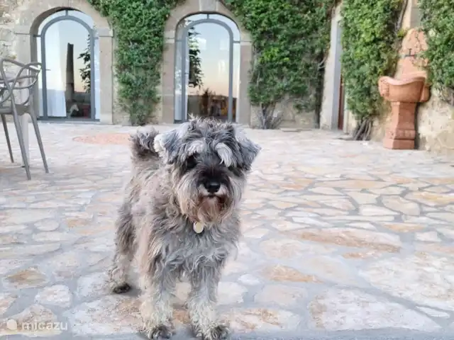 Location de Vacances Italie, Ombrie, Orvieto, villa - Tenuta del Conte Il est également tout à fait satisfait de la nouvelle terrasse