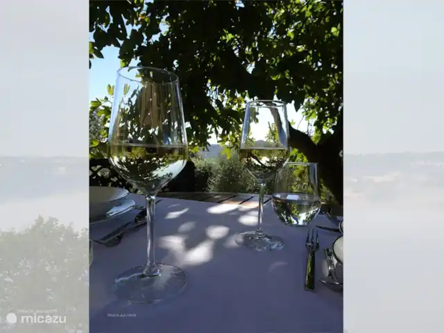 Location de Vacances Italie, Ombrie, Orvieto, villa - Tenuta del Conte Un verre d'Orvieto Classico sous le figuier