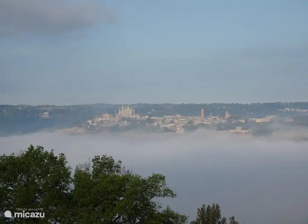 View of Orvieto from the olive grove