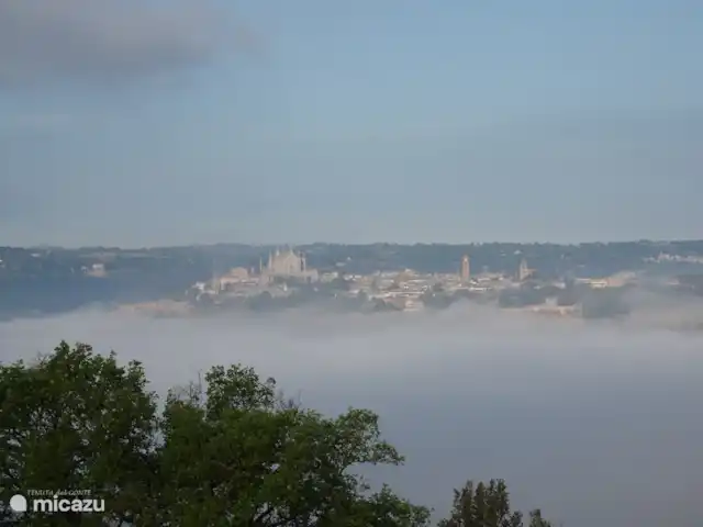 Location de Vacances Italie, Ombrie, Orvieto, villa - Tenuta del Conte Vue d’Orvieto depuis l’oliveraie