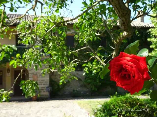 Location de Vacances Italie, Ombrie, Orvieto, villa - Tenuta del Conte Rose ancienne sur la Tenuta del Conte