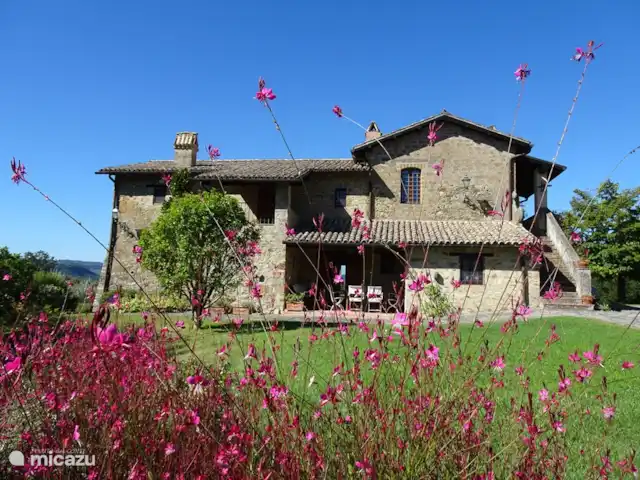 Location de Vacances Italie, Ombrie, Orvieto, villa - Tenuta del Conte Maison de campagne et terrasse couverte pour un petit déjeuner intimiste