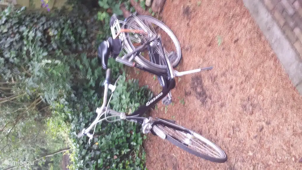 Gratis twee fietsen.