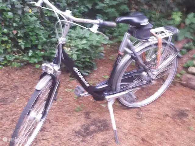 Reewold Veluwe | Pays-Bas, Gueldre, Wells - chalet Gratuit deux vélos.