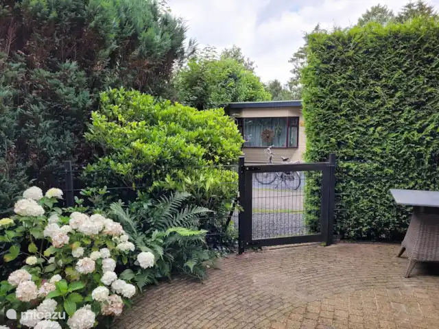 Reewold Veluwe | Pays-Bas, Gueldre, Wells - chalet