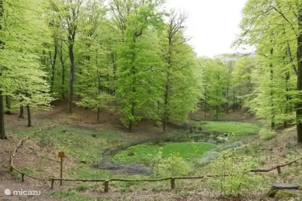 Het Solse gat ,in het Sprielder en Speulder bos.Hier heeft vroeger een klooster gestaan,het is nu gezonken in het moeras