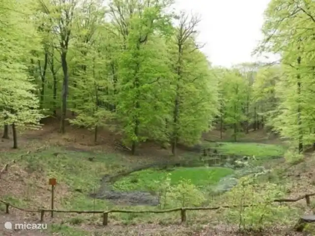 Reewold Veluwe | Pays-Bas, Gueldre, Wells - chalet Le trou de la Solse, dans la forêt de Spielder en Speulder, autrefois un monastère, aujourd'hui englouti dans le marais