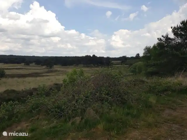 Reewold Veluwe | Pays-Bas, Gueldre, Wells - chalet chauffage