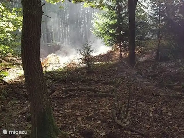 Reewold Veluwe | Pays-Bas, Gueldre, Wells - chalet Forêt de Sprielder et Speulder