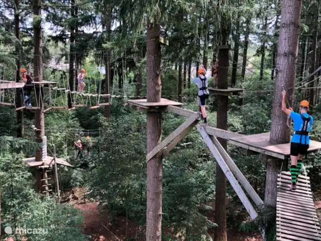 Reewold Veluwe | Pays-Bas, Gueldre, Wells - chalet Forêt d'escalade à Garderen