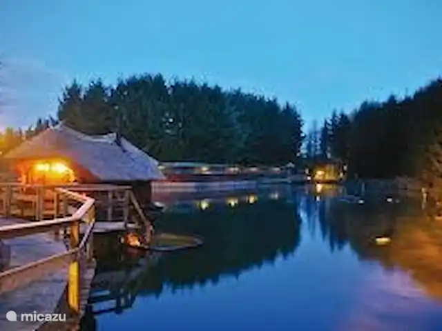 Reewold Veluwe | Pays-Bas, Gueldre, Wells - chalet Sauna Drôme à Putten