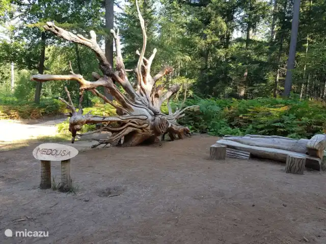 Reewold Veluwe | Pays-Bas, Gueldre, Wells - chalet Oeuvre dans la forêt de Speulder