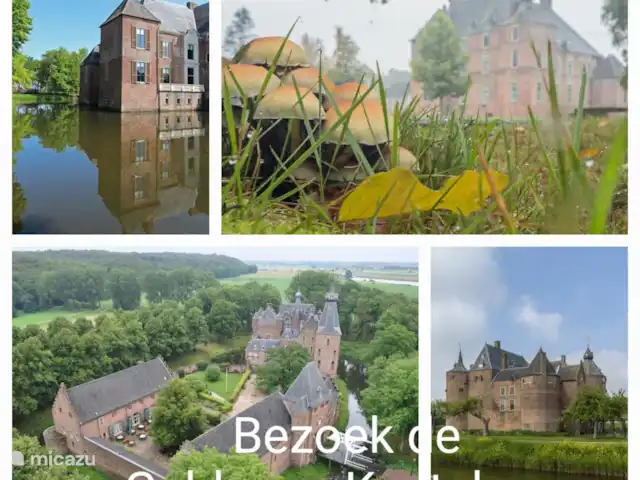 Reewold Veluwe | Pays-Bas, Gueldre, Wells - chalet
