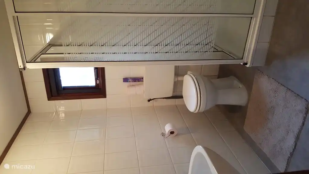 Grote  Badkamer met douche en wastafel 