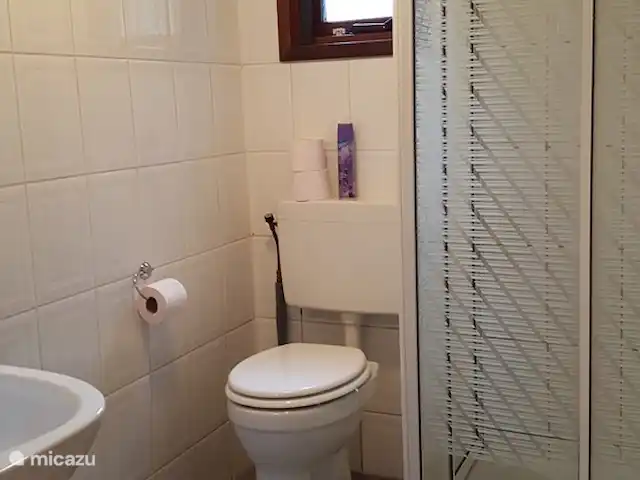 Reewold Veluwe | Pays-Bas, Gueldre, Wells - chalet Grande salle de bain avec douche et lavabo