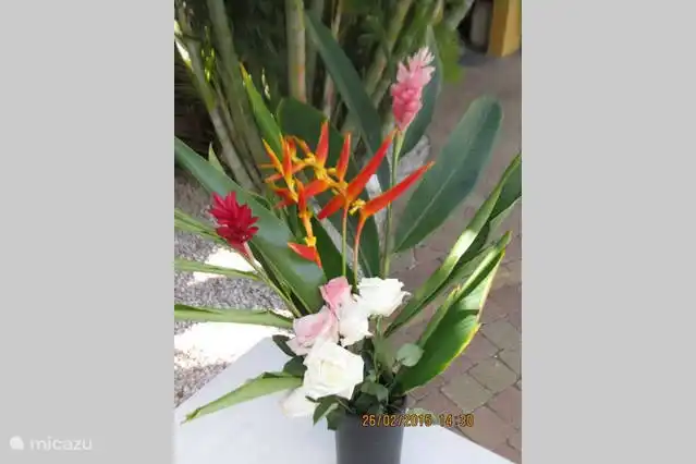 Blumen aus dem Garten