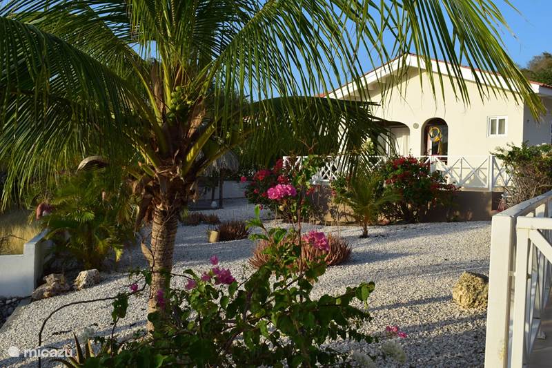 Ferienwohnung Curaçao, Banda Abou (West), Fontein Bungalow Bungalow +Pool und Whirlpool Blenchi