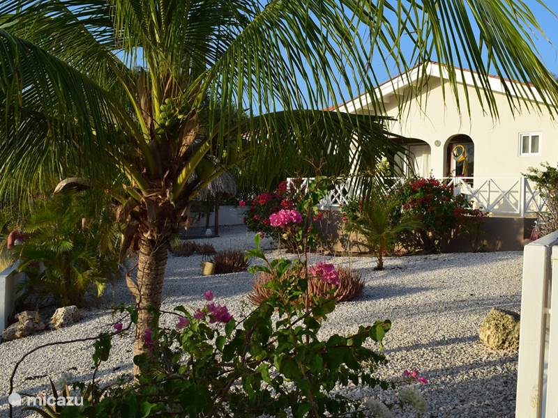 Vakantiehuis Curaçao, Banda Abou (west), Fontein Bungalow Bungalow zwembad en jacuzzi Blenchi 