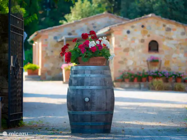 Cottage Leccio - Monti 1824 ® huren in Italië, Toscane, Casole d`Elsa - vakantiehuis Huis Leccio