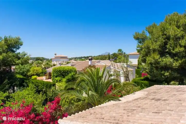 Blick vom Dachterrasse