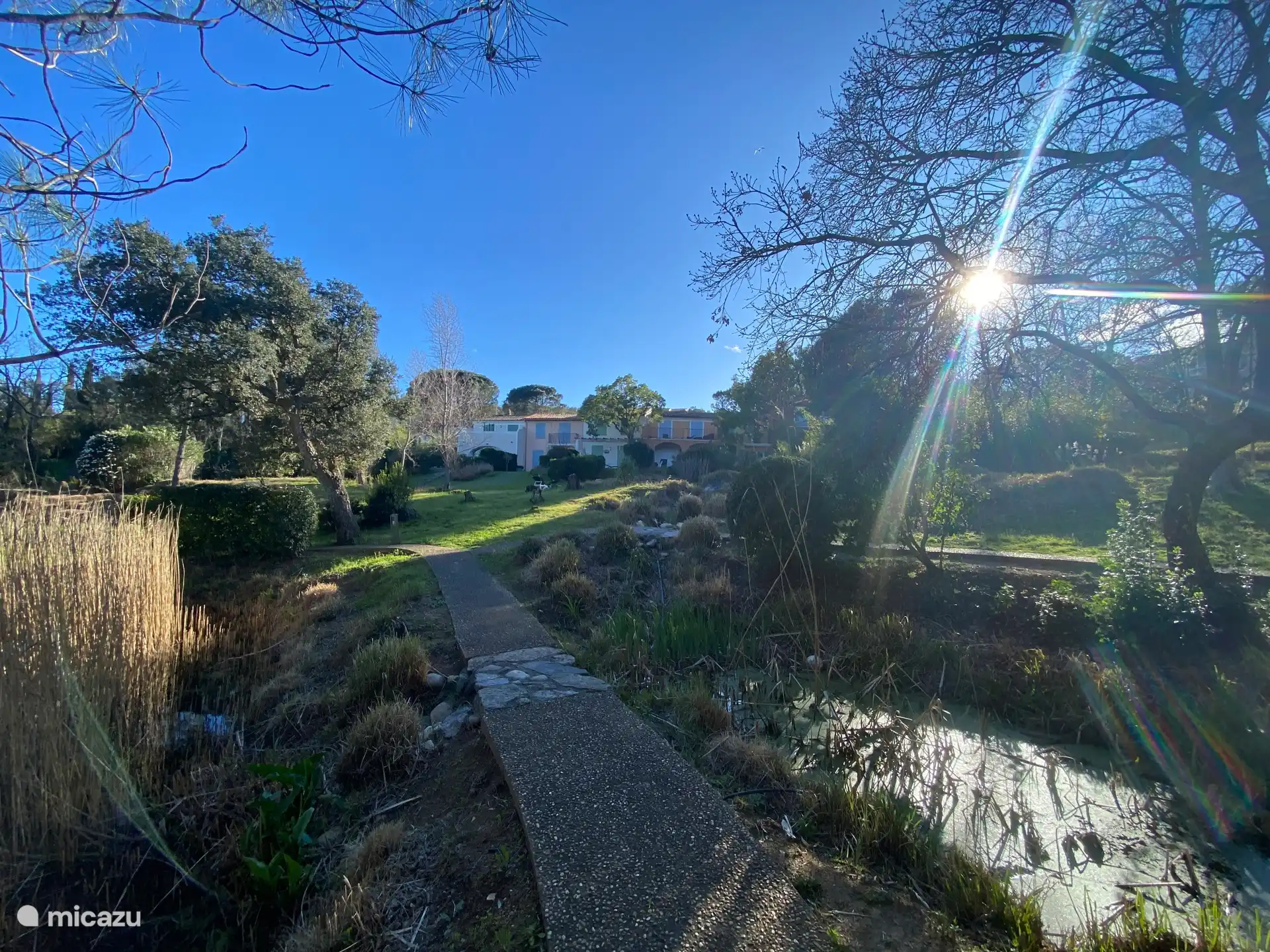 Aparca detrás de la casa