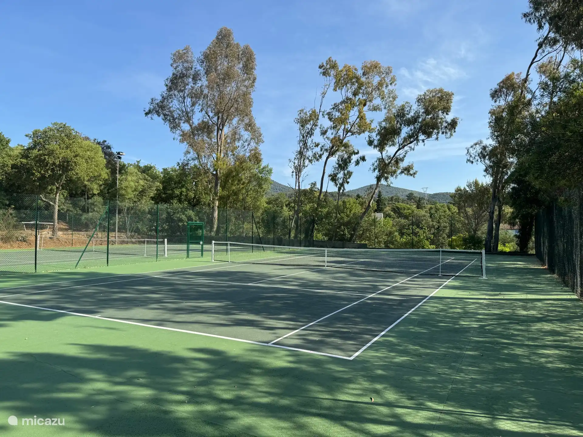 Canchas de tenis 
