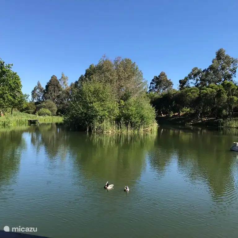 El lago detrás de la casa.