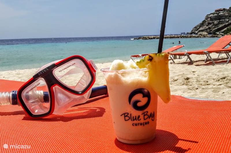 Ferienwohnung Curaçao, Curacao-Mitte, Blue Bay Appartement Luxus Apt40 mit fantastischem Meerblick