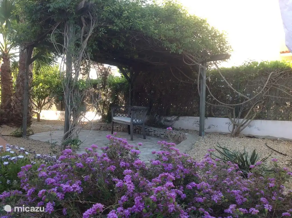 Lovely place under the pergola