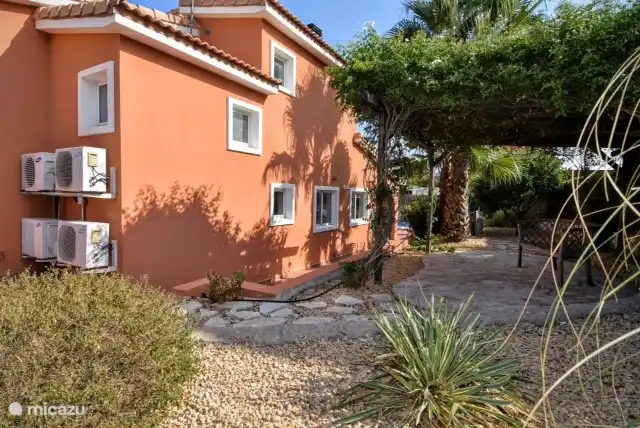 Garden with pergola and palm trees