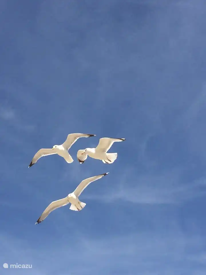 Votre vue quotidienne