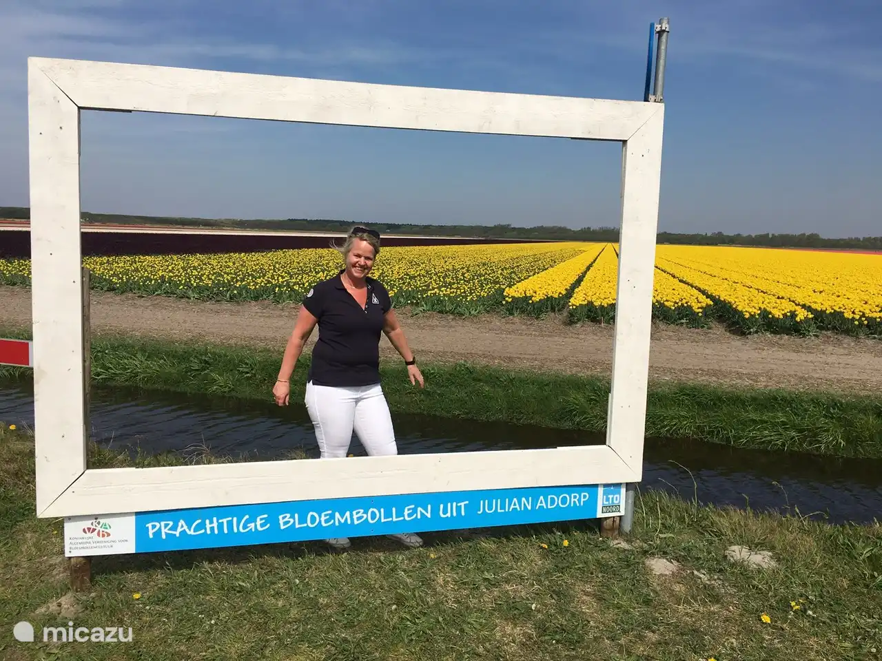 La reine des tulipes