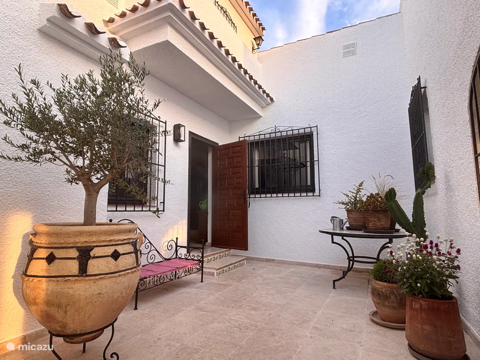 We redecorated the patio in 2026 with cacti and our own olive tree.