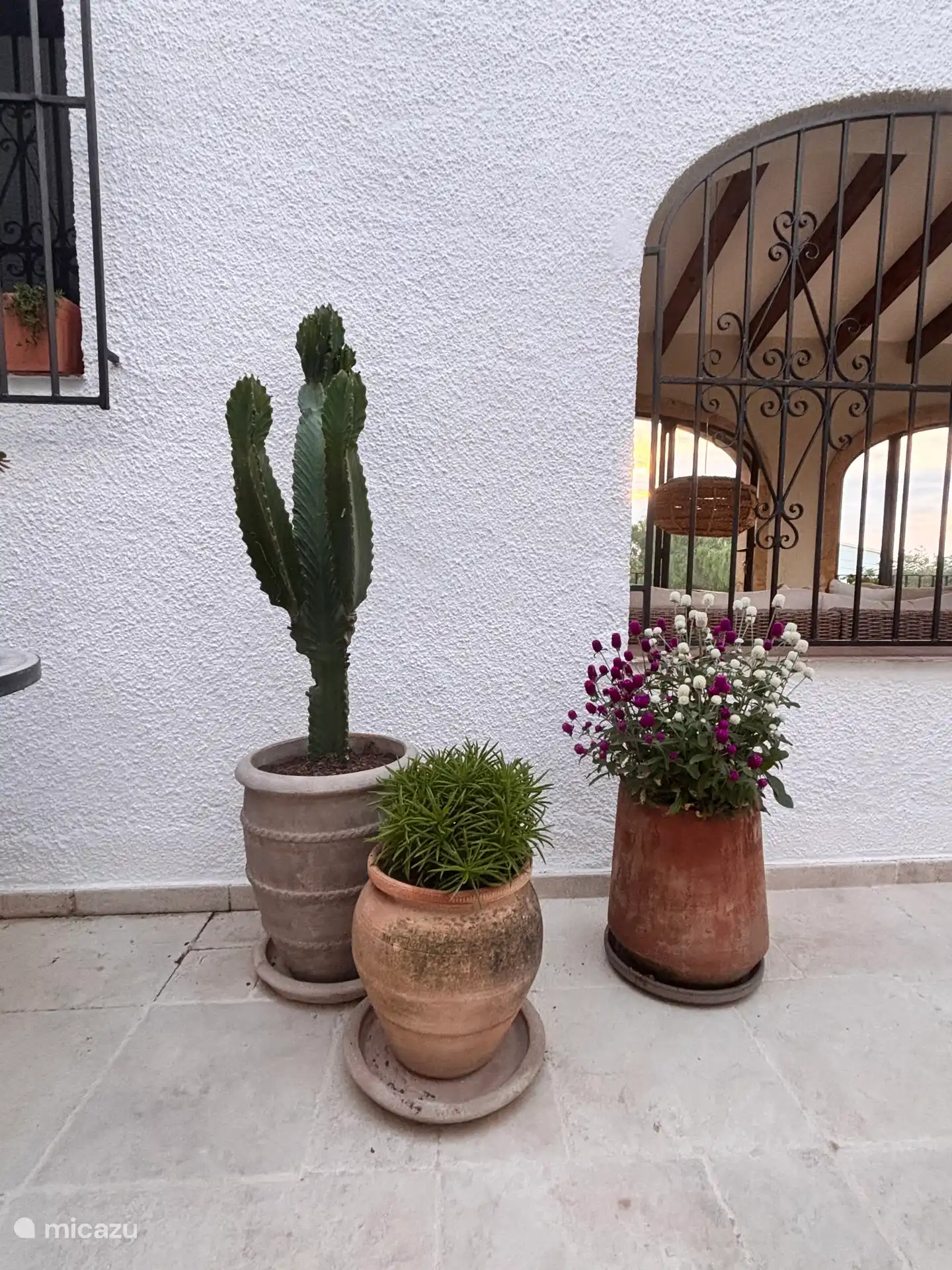 Lovingly selected the new plants autumn 2026.