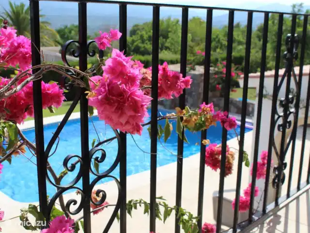 Casa Montgo huren in Spanje, Costa Blanca, Jávea - villa De bougainvillea is aangesloten op de irrigatie en daardoor het hele jaar mooi.