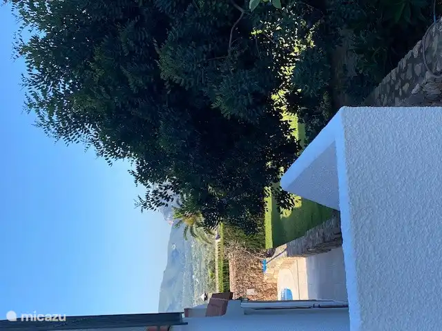 The surroundings are beautiful.