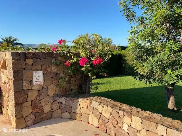 Also at the back there is a lawn, beautiful plants and (palm) trees. And the hedge provides privacy to the neighbors. Unfortunately, the tree has blown down. It does provide an ideal patch of lawn for the football goal.