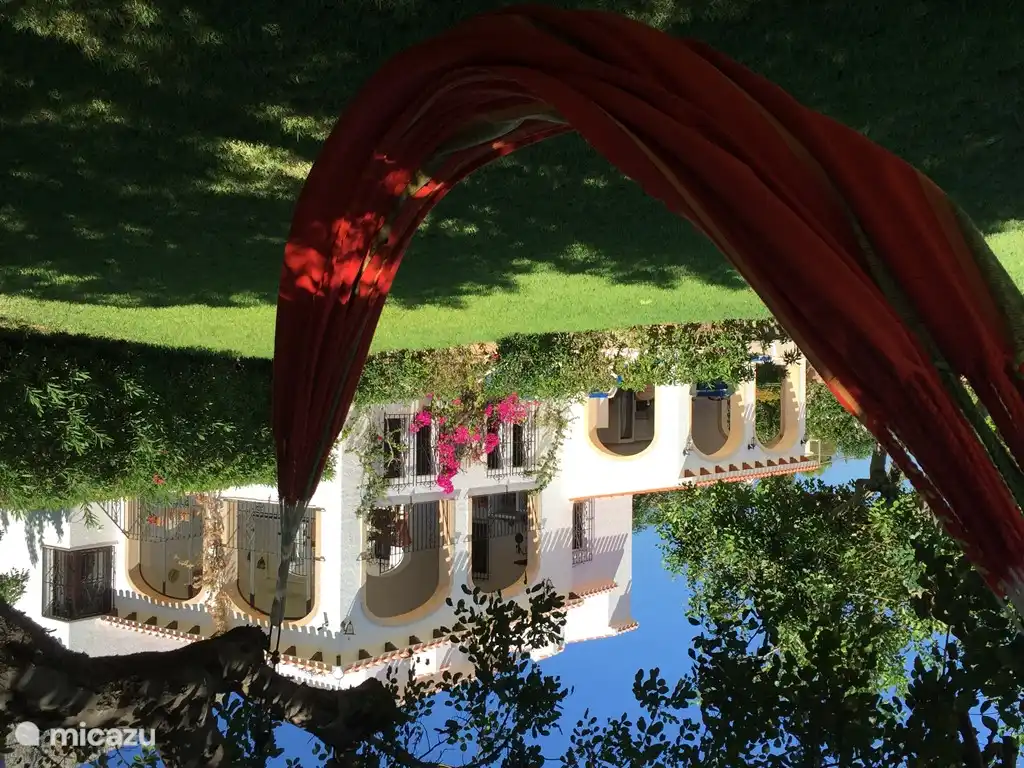 Reading a book in the hammock and swinging in the shade of a beautiful tree.