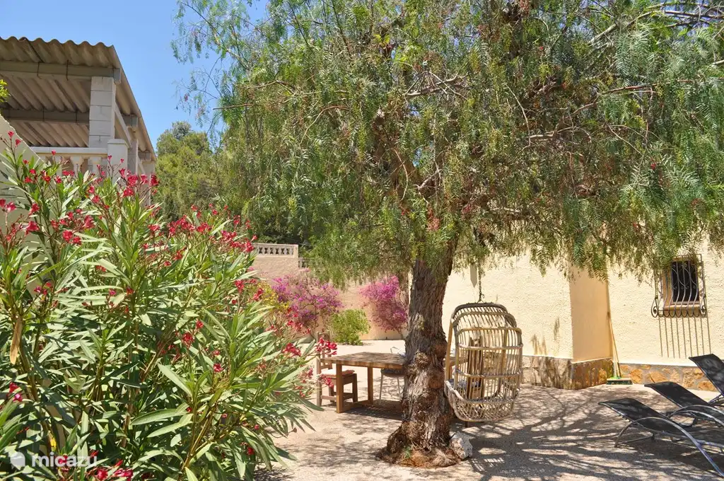 Comedor al aire libre.