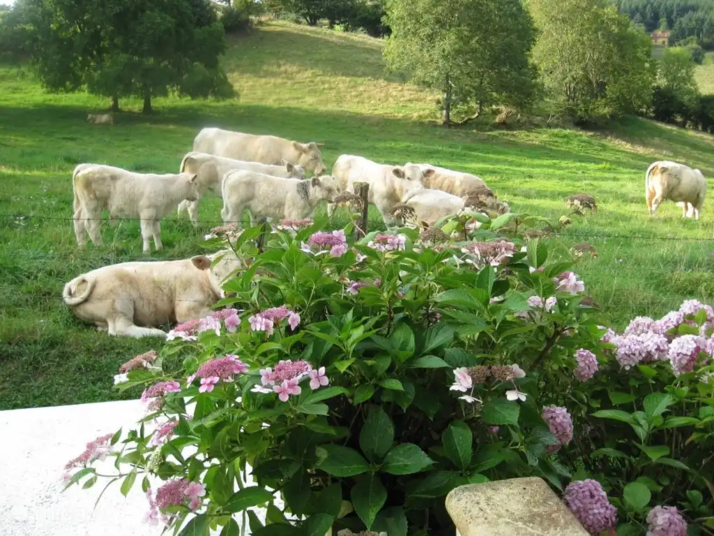 Die einzigen Nachbarn.