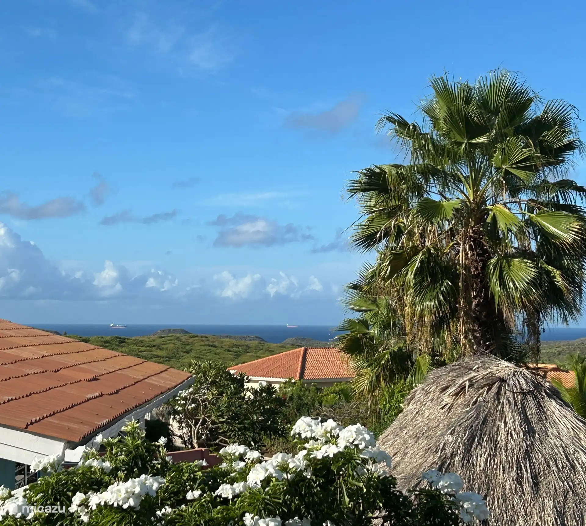 Vue de la terrasse sur le lac