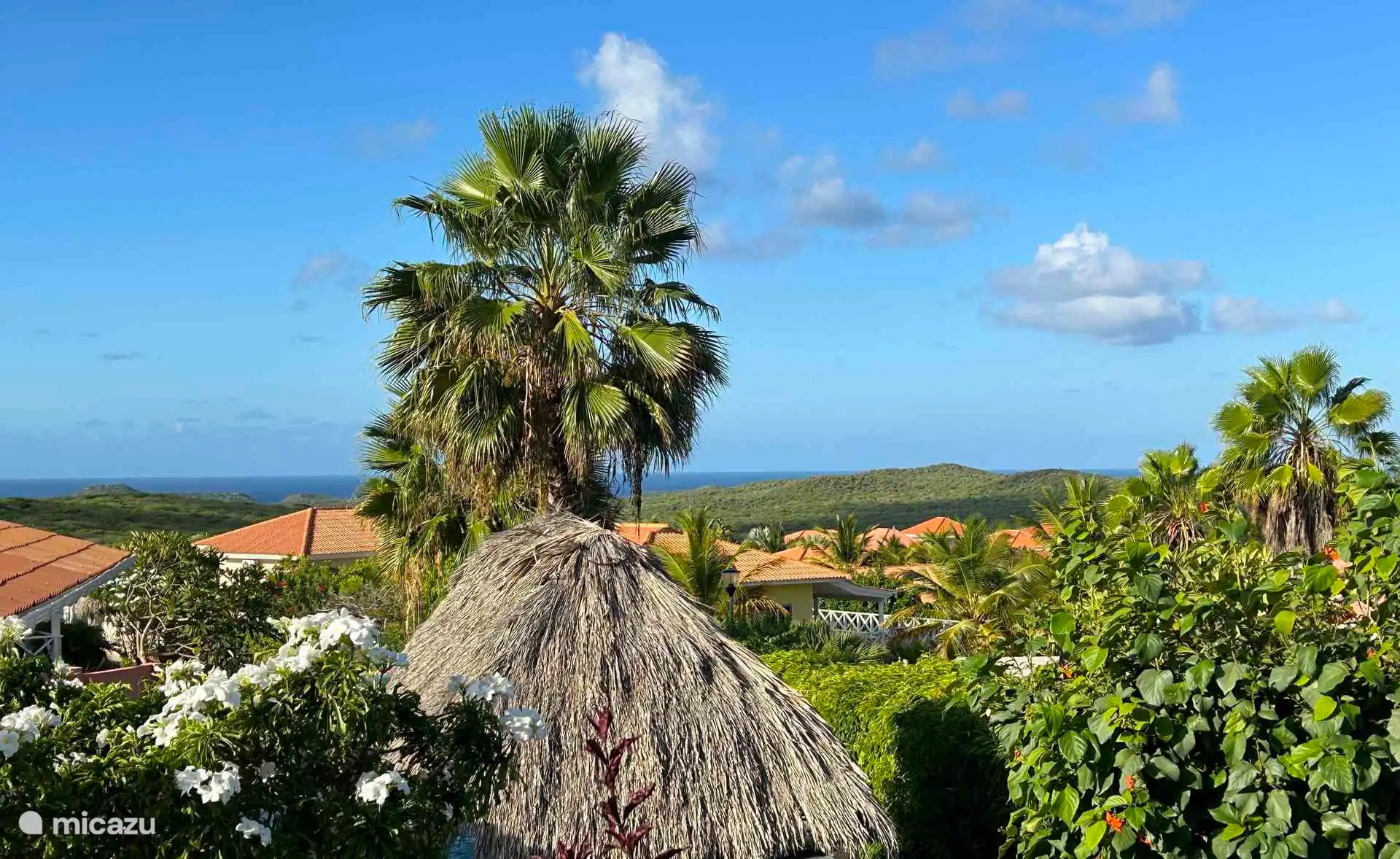 Vue sur la mer depuis la terrasse