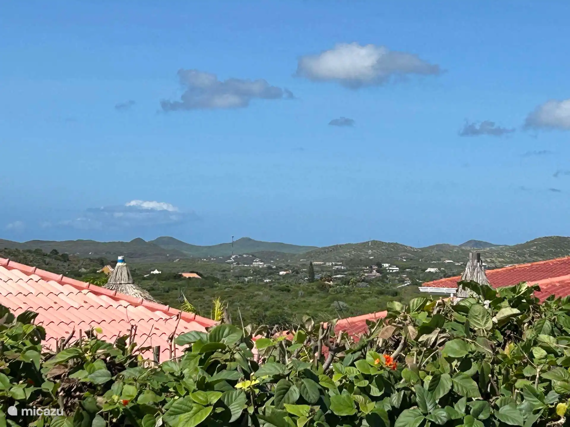 Vue de la haie de Bandabou